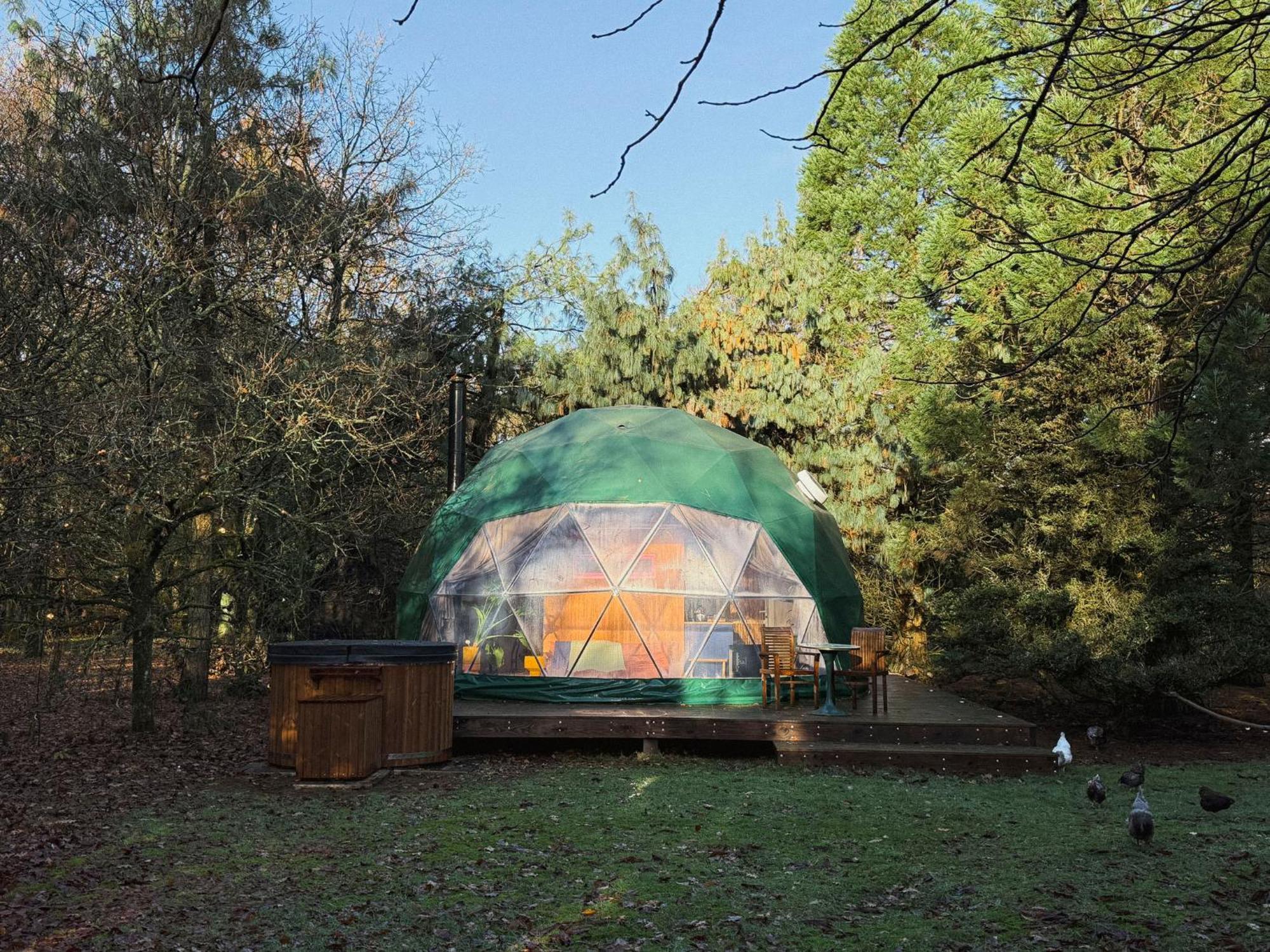 Ferienhaus Classy - Domes